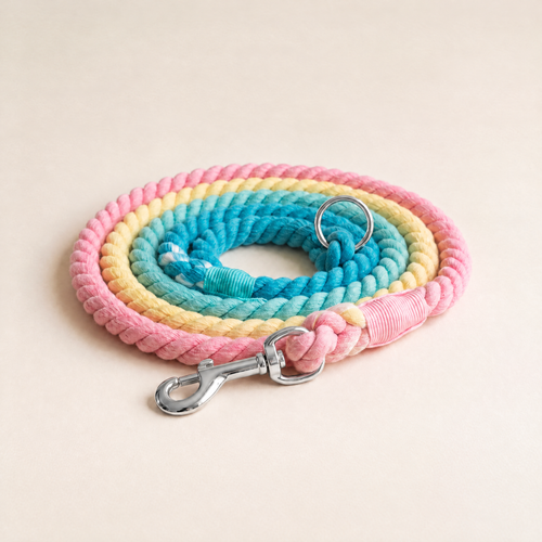 Candyland Cotton Rope Leash