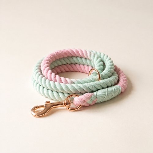 Daisy Cotton Rope Leash